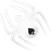 Spider Solitaire Free